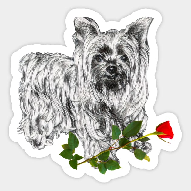 Valentines Yorkshire Terrier With Rose Sticker by NikkiBear67